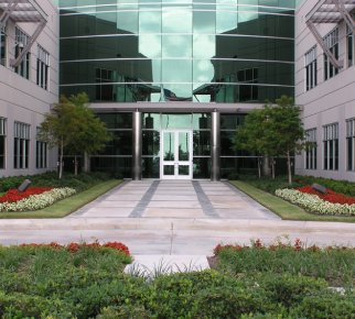 Landscaping  In Office